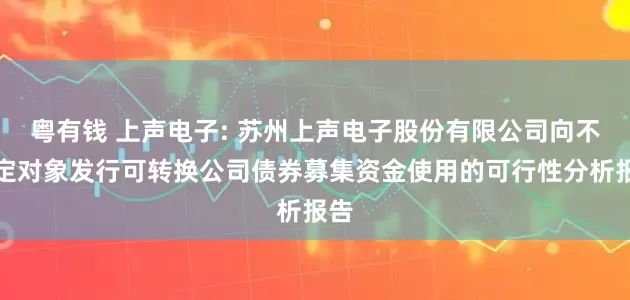 粤有钱 上声电子: 苏州上声电子股份有限公司向不特定对象发行可转换公司债券募集资金使用的可行性分析报告