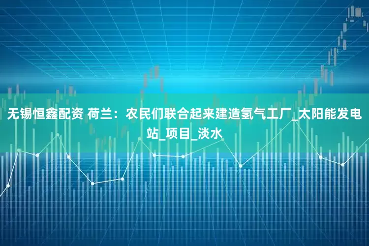无锡恒鑫配资 荷兰：农民们联合起来建造氢气工厂_太阳能发电站_项目_淡水