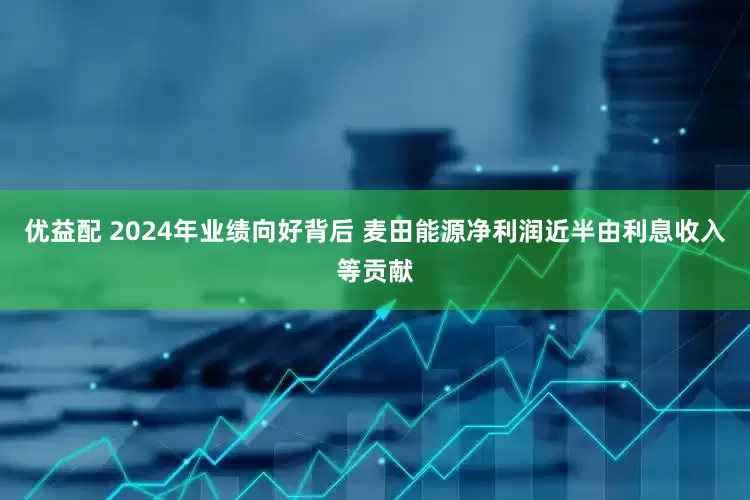 优益配 2024年业绩向好背后 麦田能源净利润近半由利息收入等贡献
